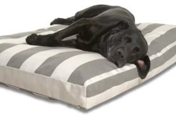 die besten hundebetten Orthopdisches Hundebett - Gelenkschutz & Komfort