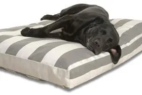 Bild: Große orthopädische Hundebetten bis XXL