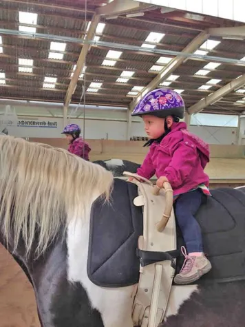 Neues vom Nixhof Bild: Neues vom Nixhof