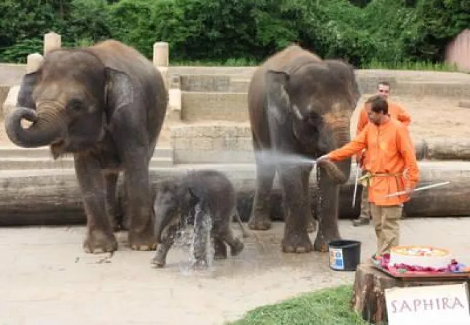 Bild: NDR tauft Baby-Elefant im Erlebnis-Zoo Hannover