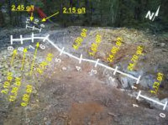 Bild: Chinesen und Inder wollen Gold