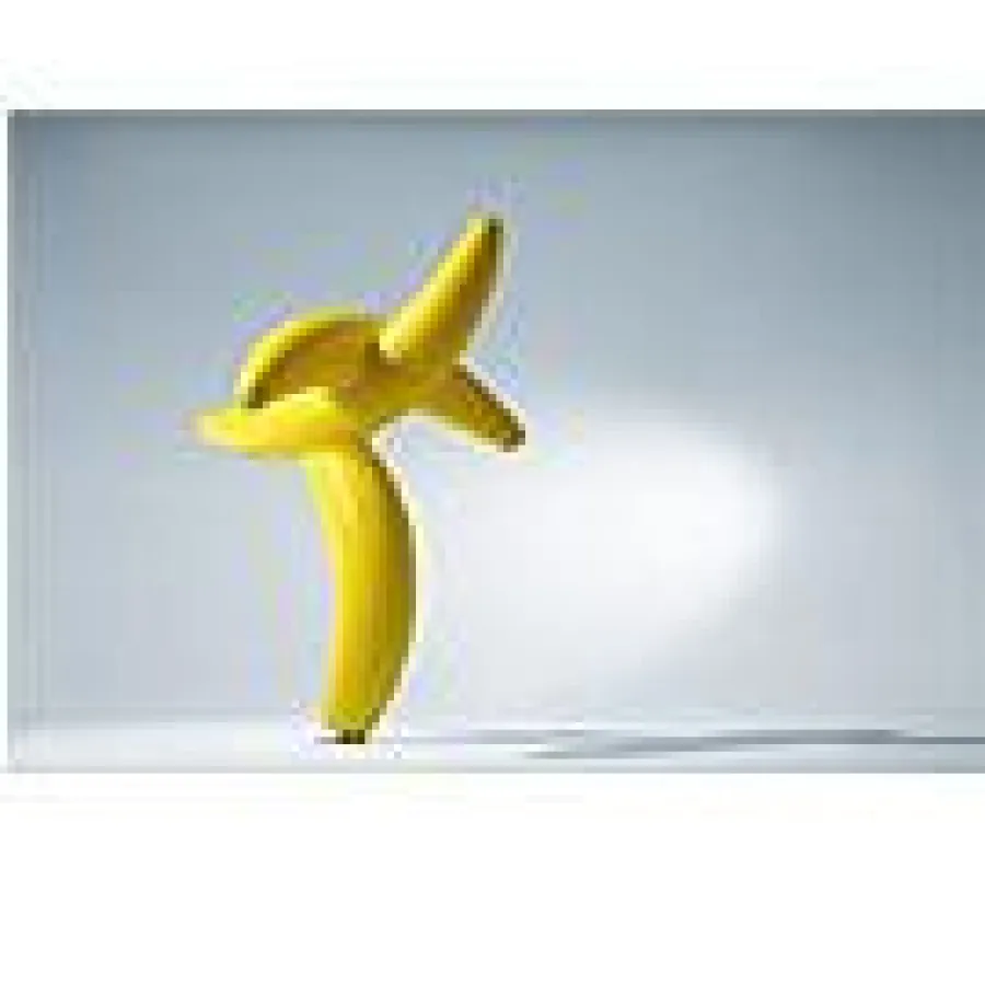 AirWorks, NOPROBLAIM