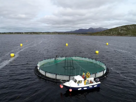 Projekt IMPAQT startet kostenlose Schulungen zu intelligenten Management-Tools für Aquakultursysteme Bild: Projekt IMPAQT startet kostenlose Schulungen zu intelligenten Management-Tools für Aquakultursysteme