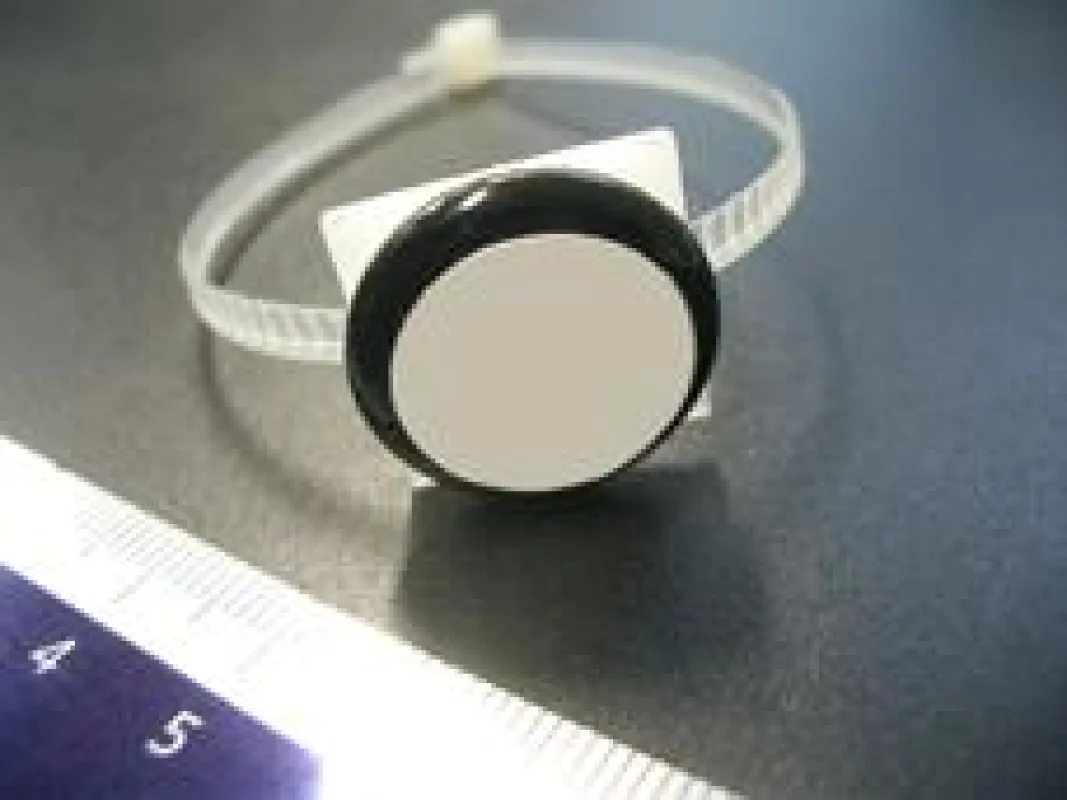 Die RFID-Chips von smart-TEC sind in verschiedenen Montagevarianten und Größen erhältlich. Dieses Modell wird über einen Kabelbinder befestigt. (Quelle: smart-TEC GmbH)