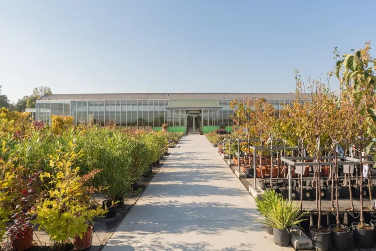 LE Palms und Urban Greening Camp Startup Projekte für Artenschutz, Klimaschutz und Umweltschutz Bild: LE Palms und Urban Greening Camp Startup Projekte für Artenschutz, Klimaschutz und Umweltschutz