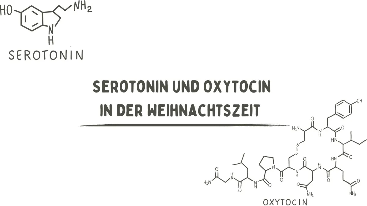 (© BGF aktiv GmbH)