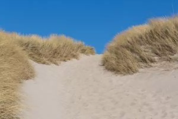 Bild: Naturfotografie auf Sylt – ein Reisebericht