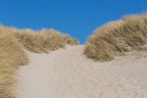 Bild: Naturfotografie auf Sylt – ein Reisebericht
