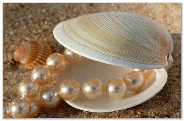 Bild: Wer seiner Jugend hinterher läuft, ….