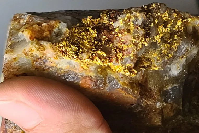 Bild: Sranan Gold: Zahlreiche neue Ziele verdeutlichen jetzt das Goldpotenzial von Tapanahony!