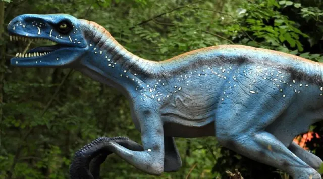 Bild: DAX-Raptor Reihe auf Trading-Treff.de