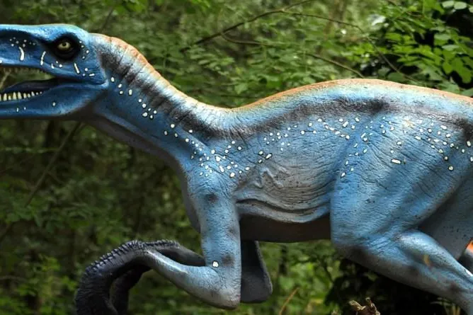 Bild: DAX-Raptor Reihe auf Trading-Treff.de