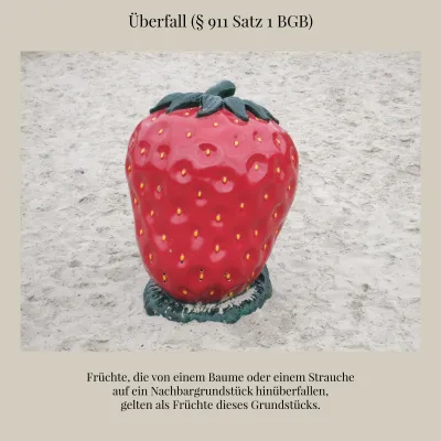 Bild: Bundesrichter und Fotograf bebildern deutsche Gesetzestexte