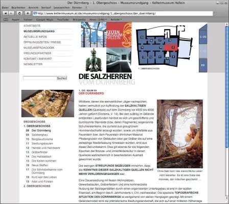 Bild: Die Kelten kommen - Neue Website fürs Keltenmuseum Hallein