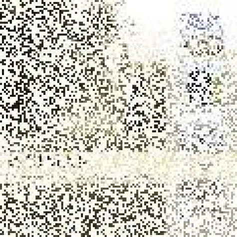 Bild: Drei CDs der neuen Audiostadtführung von HistOHRia zu gewinnen