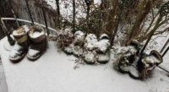 Bild: Wetteraussichten für das Jahr 2019 von Januar bis Dezember