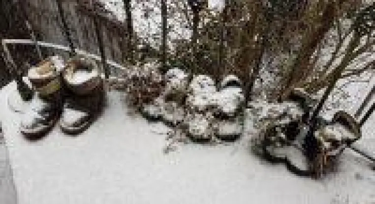 Bild: Wetteraussichten für das Jahr 2019 von Januar bis Dezember