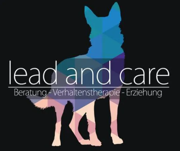 Bild: Zeus - der Straßenhund