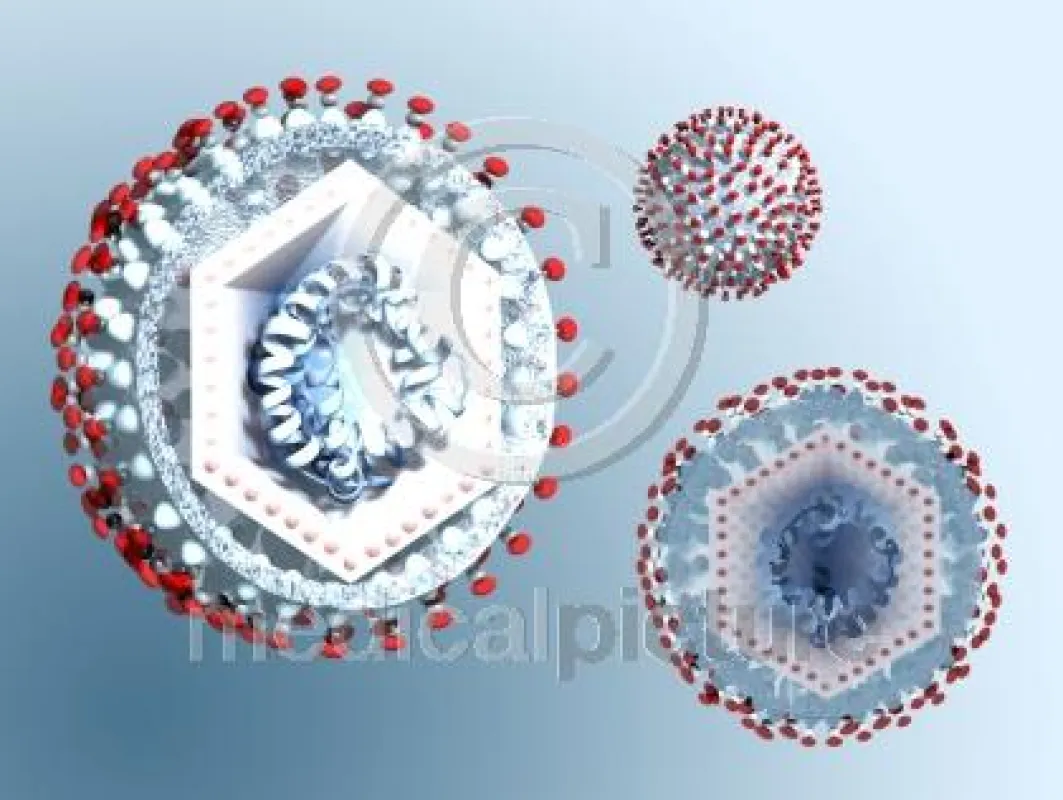Hepatitis B Virus