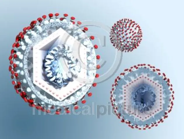 Bild: Hepatitis - von A bis C