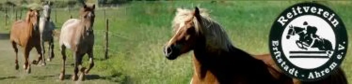 Reitturnier im September 2008 (Bild nicht zur Reproduktion/Vervielfältigung freigegeben)