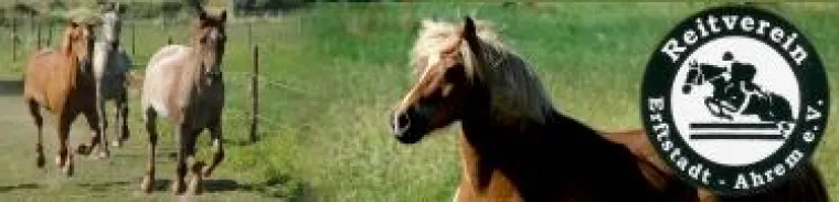 Bild: JMMG Communications und rationalized.de sponsorn Reitturnier in Erftstadt