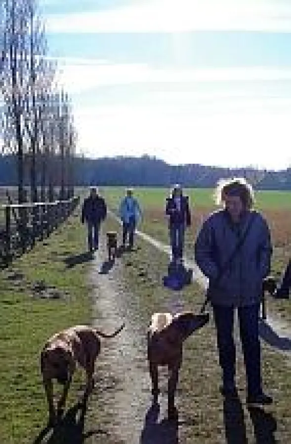 hunde-wandern.biz im Tal der Mühlen