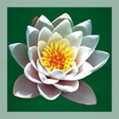 Maria Magdalena – das Universum der Seele Bild: Maria Magdalena – das Universum der Seele