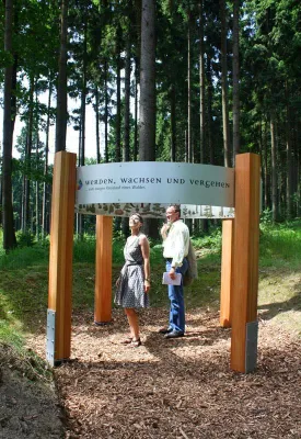 Bild: Poetische WaldWunderWelt in Bad Griesbach: Neuer Waldrundweg verspricht Wander- und Lernspaß für Jung und Alt