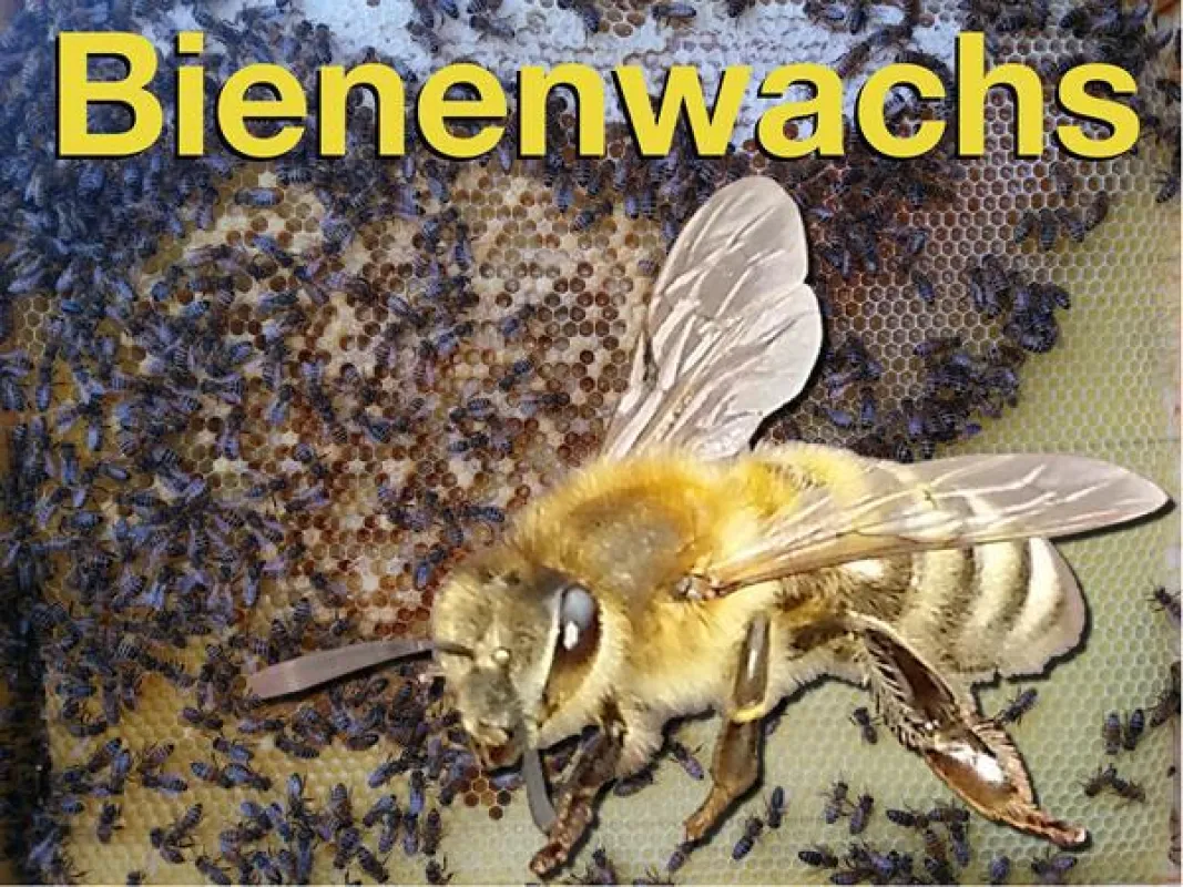 Petition für sauberes Bienenwachs