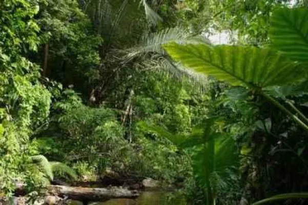 Wald- und Klima-Kampagne online. Waldportal waldundzukunft.de informiert zu Wald- und Klimaschutz Bild: Wald- und Klima-Kampagne online. Waldportal waldundzukunft.de informiert zu Wald- und Klimaschutz