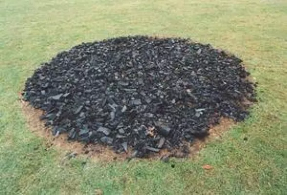 Der 76. Jahrestag der Bücherverbrennung 2009 Bild: Der 76. Jahrestag der Bücherverbrennung 2009