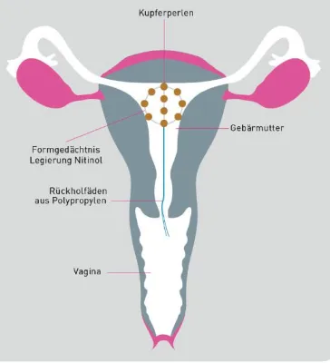 Bild: Hormonfrei, sanft & sicher* verhüten