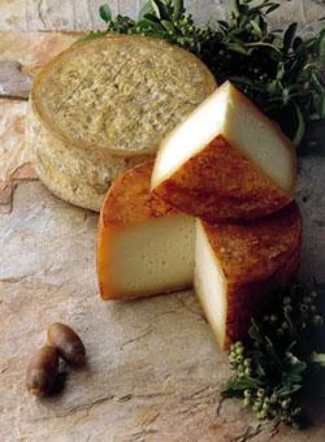 Ibores aus Ziegenrohmilch der Region Extremadura: sehr säurebetonter, buttriger Schnittkäse mit erdigem Milchgeschmack. Dazu harmonieren Weißweine aus der Rebsorte Viura.