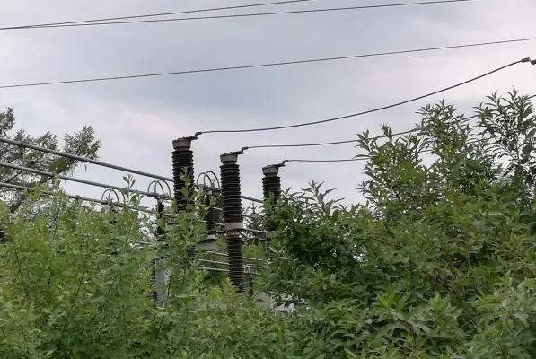 Bild: Moin Energie: Klimadebatte in Deutschland treibt die Nachfrage nach grüner Energie in die Höhe.