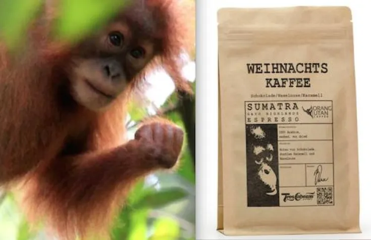 Bild: Weihnachtskaffee für die Rettung des Regenwaldes