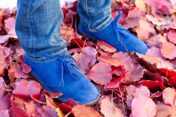 Bild: Hochwertige Herrenschuhe in Größe 48 gibt es in vielen Varianten bei schuhplus