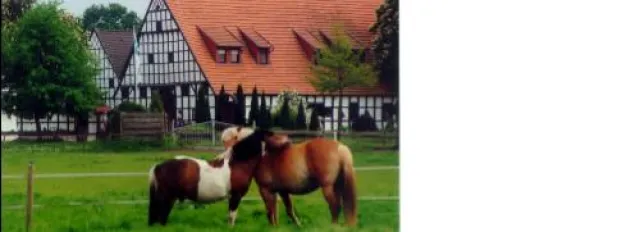 Bild: Traumhafter Reiterurlaub