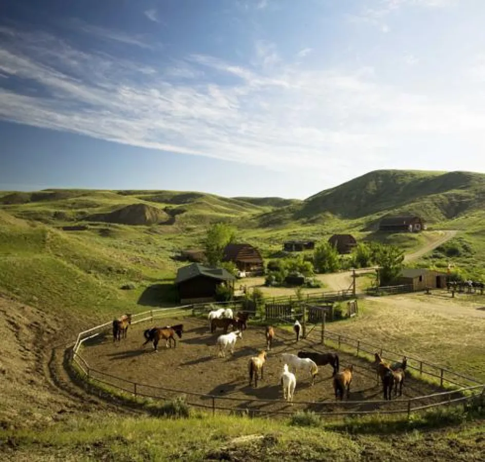 bfs / La Reata Ranch / ?Tourism Saskatchewan / ?Greg Huszar Photography / Hans Gerhard Pfaff
