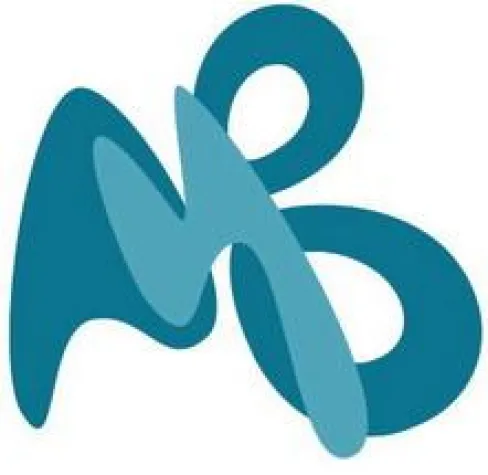 Bild: MICHAEL-BERGMANN.COM relauncht Website