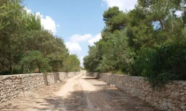 Bild: Tanti saluti aus Apulien - Sommervorfreude im La Casarana Resort & Spa