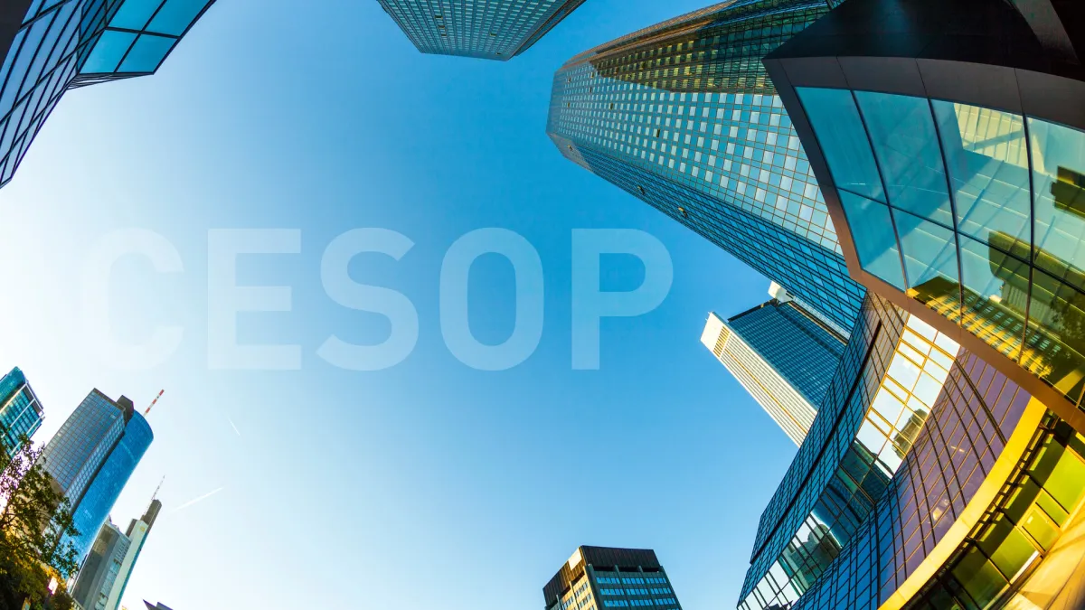 CESOP im Fokus der Bankenbranche