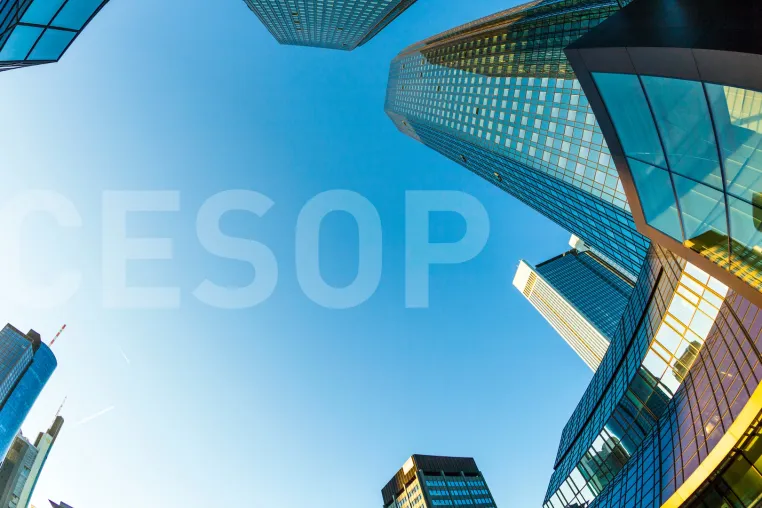 "Die Komplexität von CESOP wird unterschätzt" Bild: "Die Komplexität von CESOP wird unterschätzt"