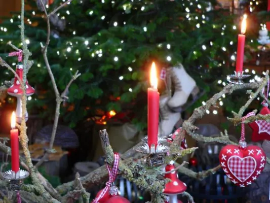 Echte Baum-Kerzen für einen unvergleichlichen Lichterglanz Bild: Echte Baum-Kerzen für einen unvergleichlichen Lichterglanz