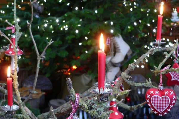 Echte Baum-Kerzen für einen unvergleichlichen Lichterglanz Bild: Echte Baum-Kerzen für einen unvergleichlichen Lichterglanz