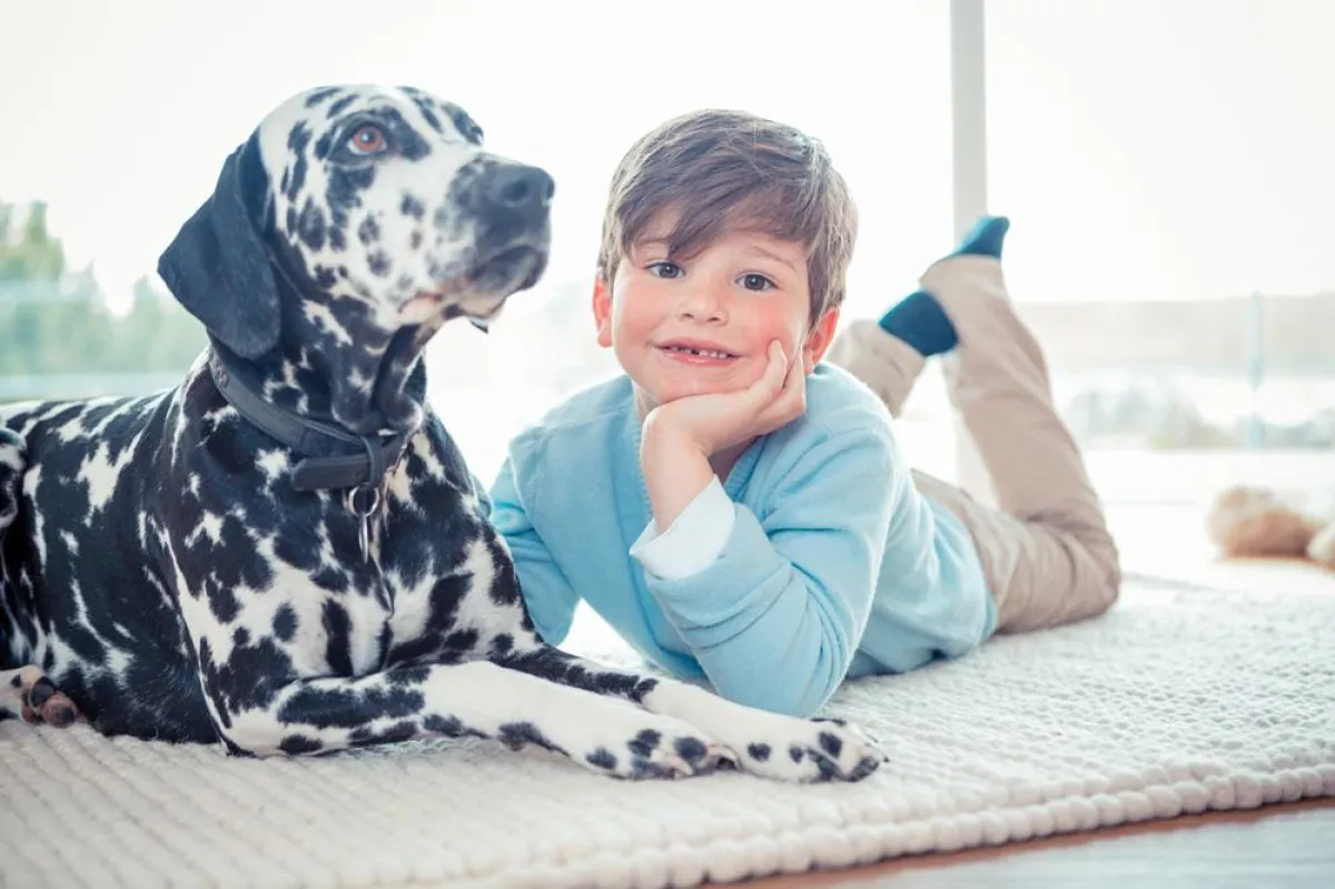 Wohngesunde Häuser schützen Mensch und Umwelt