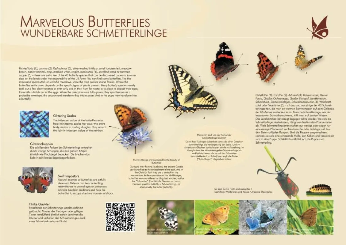 Beispielhafte Tafel des Naturlehrpfads