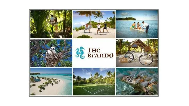 Bild: Natur hautnah erfahren - Expeditionen auf The Brando: Wale, Korallenriffe, Schildkröten
