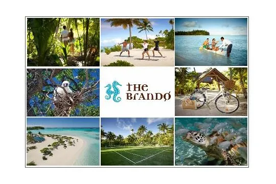 Natur hautnah erfahren - Expeditionen auf The Brando: Wale, Korallenriffe, Schildkröten Bild: Natur hautnah erfahren - Expeditionen auf The Brando: Wale, Korallenriffe, Schildkröten