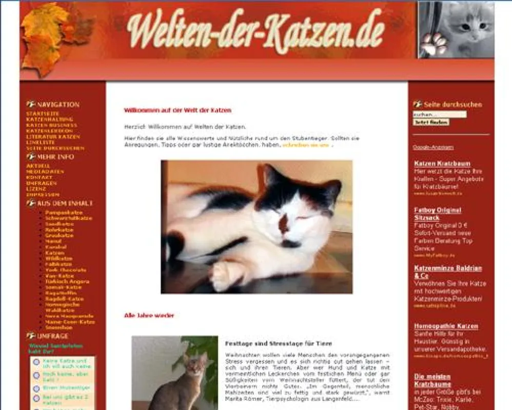 Katzen sehen die Welt ganz anders...